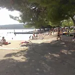 Ela Crna Punta Kruševo